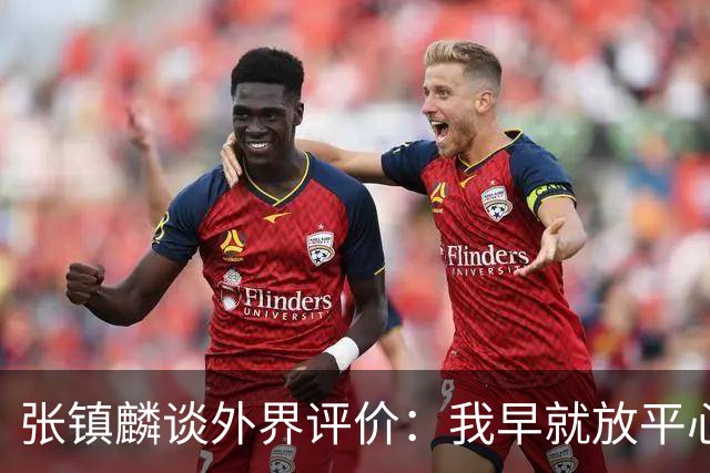 张镇麟谈外界评价：我早就放平心态了 不可能让所有人都喜欢自己