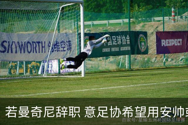 若曼奇尼辞职 意足协希望用安帅或卡纳瓦罗替代