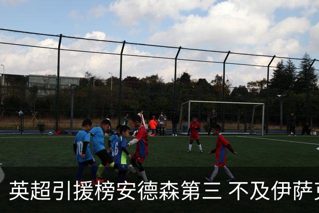 英超引援榜安德森第三 不及伊萨克维尔茨超凯塞多恩佐